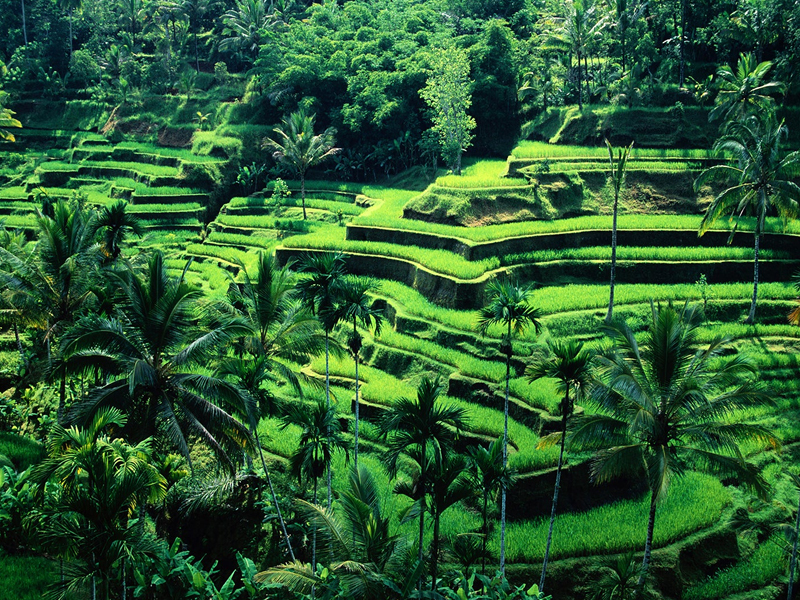 Vượt qua Singapore, Hội An lọt top 15 thành phố tuyệt nhất Châu Á