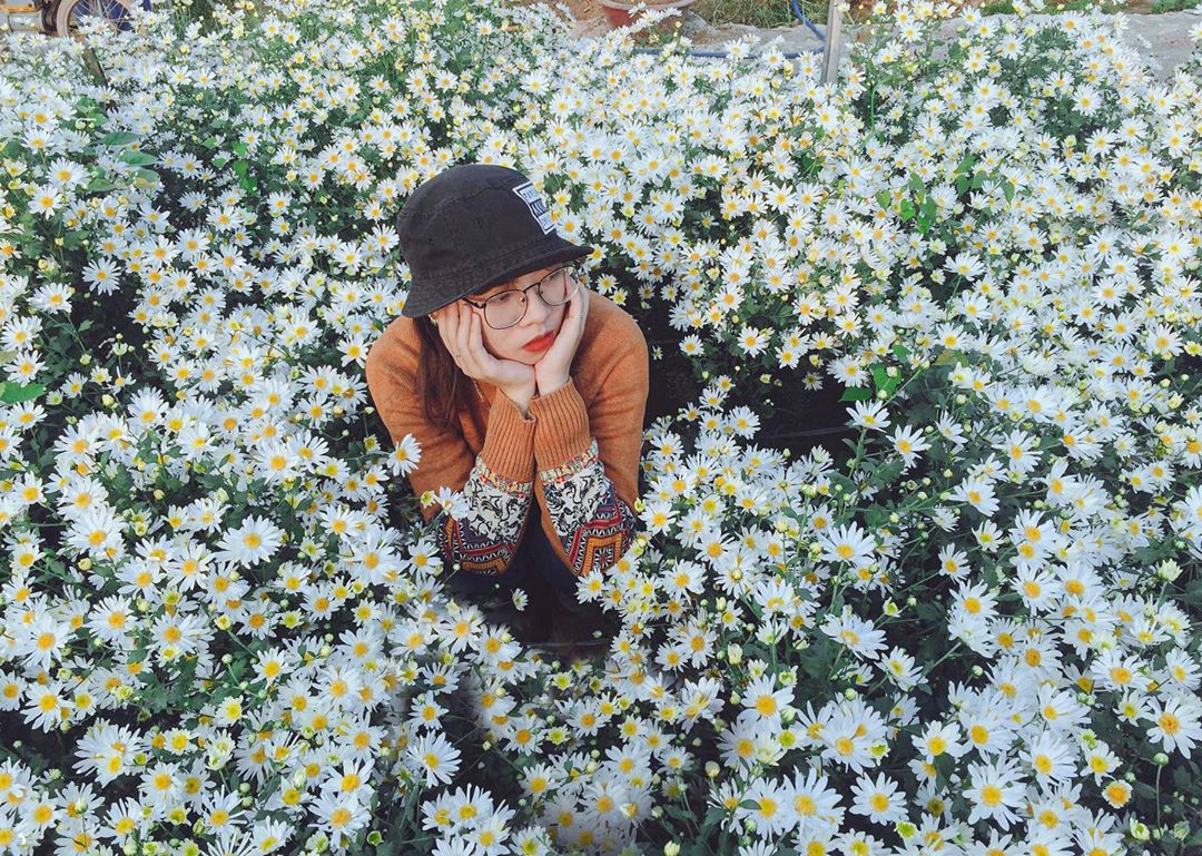 5 điểm chụp cục họa mi đẹp tại Hà Nội kèm giá vé năm 2020