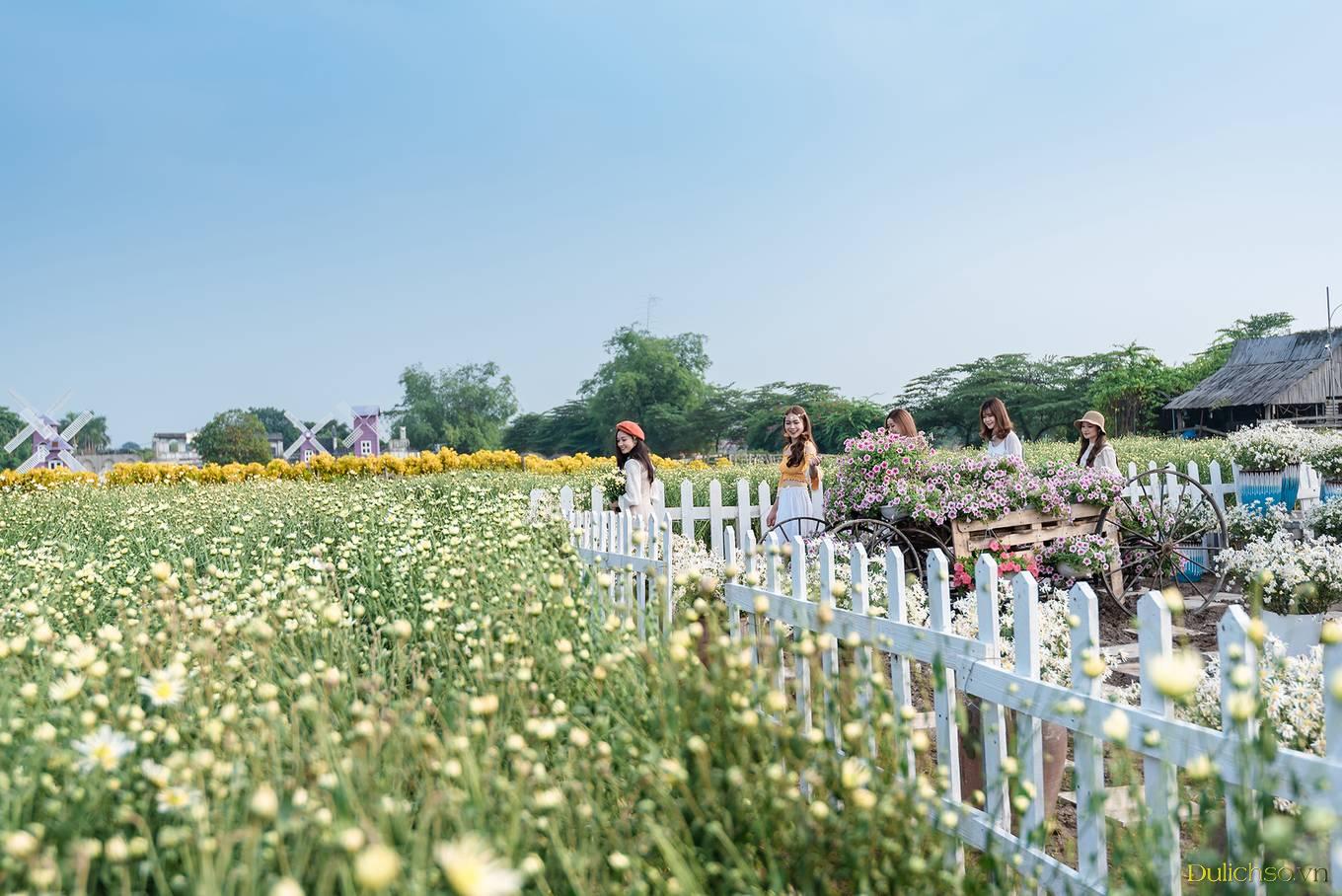 5 điểm chụp cục họa mi đẹp tại Hà Nội kèm giá vé năm 2020