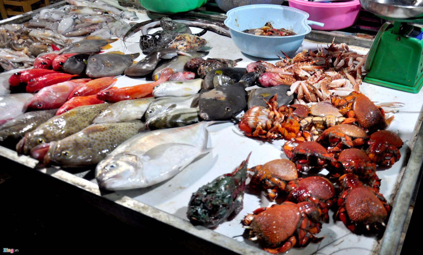 Review chuyến đi đảo Lý Sơn 3N2D chỉ 2Tr650K