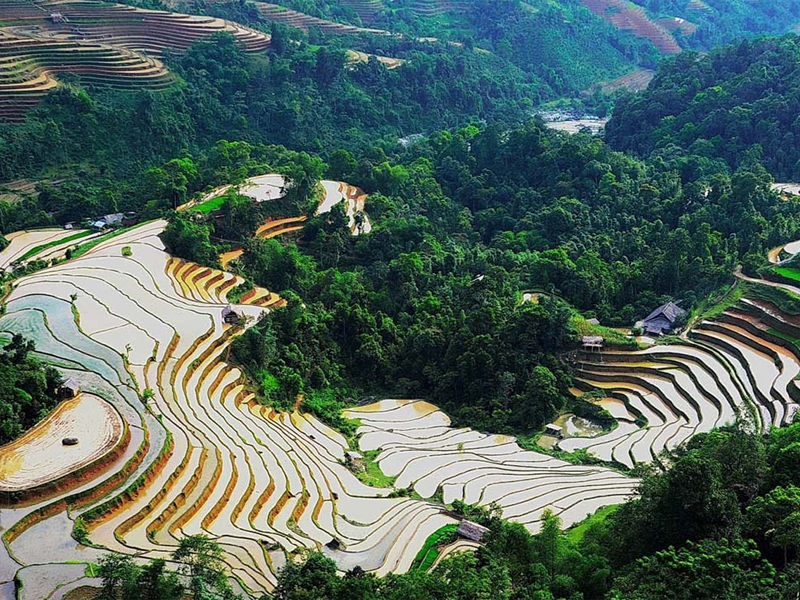 Hà Giang tháng 5 ngắm Hoàng Sù Phì mùa nước đổ