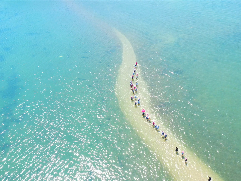 Review chi tiết 4N3Đ du lịch Phú Yên cực xin xò