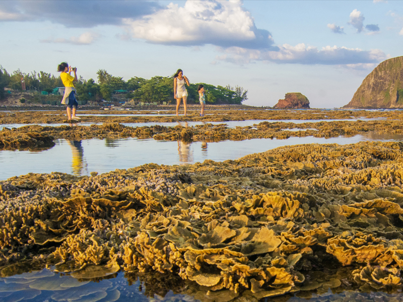 Review chi tiết 4N3Đ du lịch Phú Yên cực xin xò