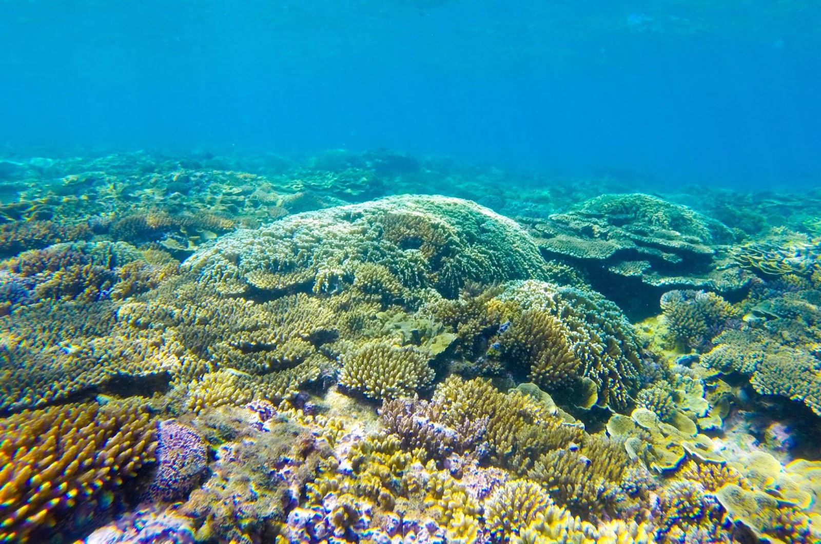 Đến Quy Nhơn đi đâu