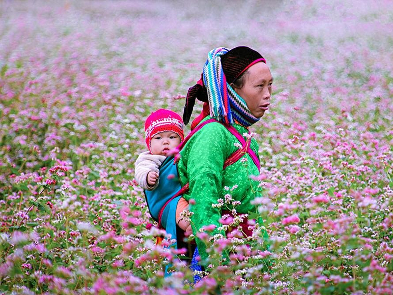 Hà Giang có gì mà khiến dân phượt đi hoài không chán?