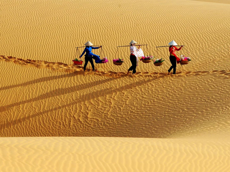 Kinh nghiệm du lịch Mũi Né tự túc từ Hà Nội 2021