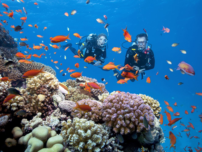 Lịch trình 4N3Đ ở Phú Quốc - Khám phá đảo ngọc vô cùng chi tiết