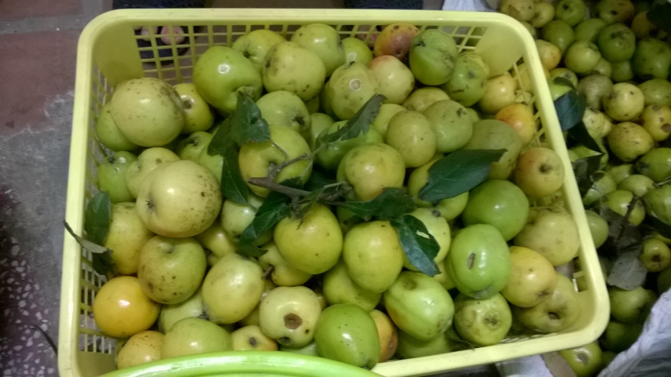 5 lý do bạn nên du lịch Sapa vào tháng 9 năm 2020