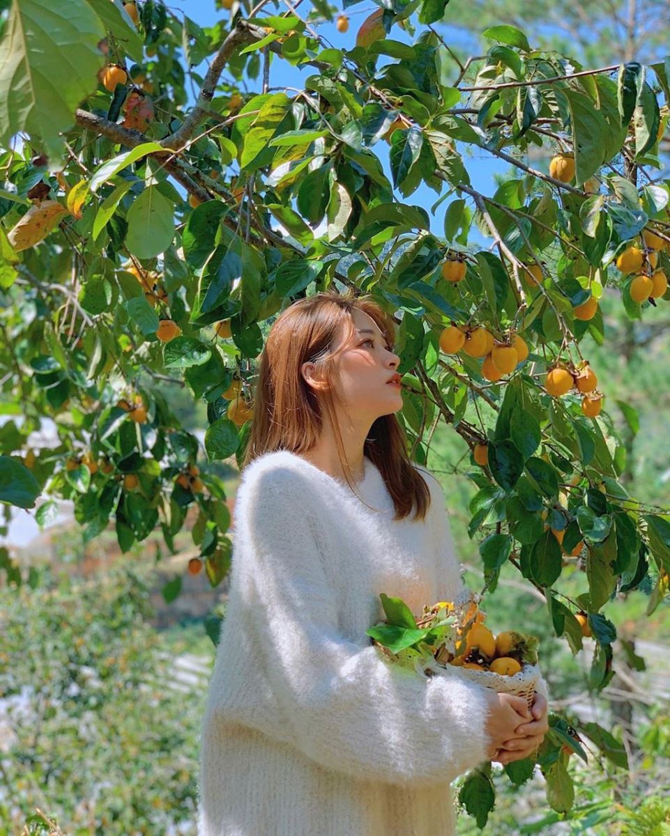 Du lịch Đà Lạt tháng 10