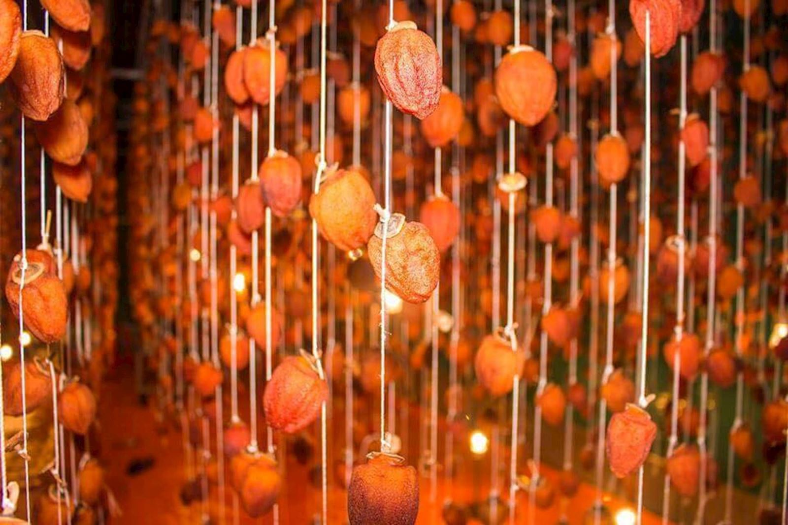 Du lịch Đà Lạt tháng 10