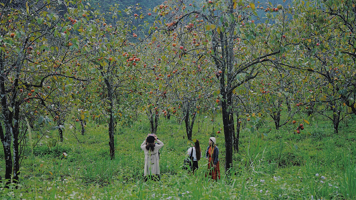 Du lịch Đà Lạt tháng 10