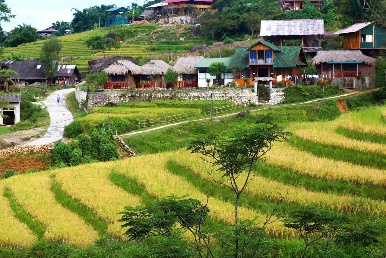 5 Khách sạn ở Sapa view cực đẹp bạn nên trải nghiệm - Vitravel